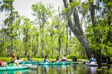 Manchac Magic Kayak Swamp Tour | Manchac Magic