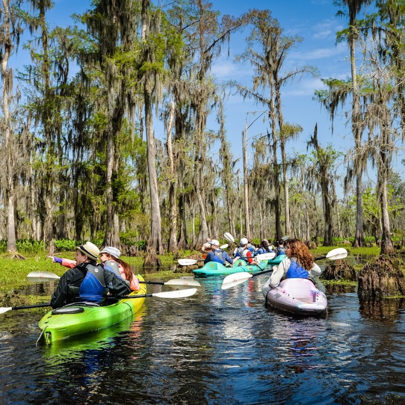 Swamp Kayaking Tours